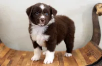 processed/d05ed23b-1a5e-4362-8a3b-8e91a07c8eb1/listing/4e5cb27a-46c9-493a-891b-7c7d82e0a1f4/b5b7ff20-83fa-4820-9235-5db357d5070e