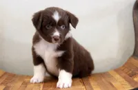 processed/d05ed23b-1a5e-4362-8a3b-8e91a07c8eb1/listing/4e5cb27a-46c9-493a-891b-7c7d82e0a1f4/d4f9aa3e-1e27-4e31-b730-6820386ab1ee