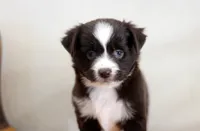 processed/d05ed23b-1a5e-4362-8a3b-8e91a07c8eb1/listing/52e59bee-74b9-49ed-9dc4-766af5a1237f/2a0fdf0d-bc8a-430a-8227-0c5d5c8fb6b6