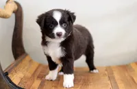 processed/d05ed23b-1a5e-4362-8a3b-8e91a07c8eb1/listing/52e59bee-74b9-49ed-9dc4-766af5a1237f/30ca28e1-7400-45a9-8183-91123afb8fa1