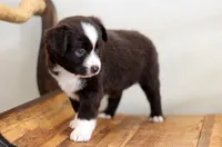 processed/d05ed23b-1a5e-4362-8a3b-8e91a07c8eb1/listing/52e59bee-74b9-49ed-9dc4-766af5a1237f/3ae68ad4-250b-46df-b83c-24f256f0ddb2