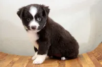 processed/d05ed23b-1a5e-4362-8a3b-8e91a07c8eb1/listing/52e59bee-74b9-49ed-9dc4-766af5a1237f/c5ef2592-6b27-4dc4-acda-983c60afa1d5