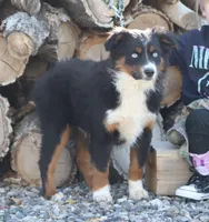 processed/d05ed23b-1a5e-4362-8a3b-8e91a07c8eb1/listing/575835c4-b542-46be-82e2-b1a555830014/50413726-6456-4318-8d4b-8186291dff26