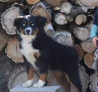 processed/d05ed23b-1a5e-4362-8a3b-8e91a07c8eb1/listing/575835c4-b542-46be-82e2-b1a555830014/d7990798-13e3-4cb3-8d77-da8a11a8b741