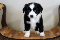 processed/d05ed23b-1a5e-4362-8a3b-8e91a07c8eb1/listing/6a8da66d-323a-4f11-8db8-0b69898c3ff2/3c04257a-8889-4f6a-ac63-e8fc83490462