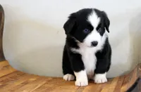 processed/d05ed23b-1a5e-4362-8a3b-8e91a07c8eb1/listing/6a8da66d-323a-4f11-8db8-0b69898c3ff2/6c0fdd36-0270-4b5b-ab83-5d4af44b7b14