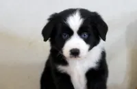 processed/d05ed23b-1a5e-4362-8a3b-8e91a07c8eb1/listing/6a8da66d-323a-4f11-8db8-0b69898c3ff2/9bd4a382-082f-4ab5-a09a-8c9624313837