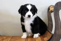 processed/d05ed23b-1a5e-4362-8a3b-8e91a07c8eb1/listing/6a8da66d-323a-4f11-8db8-0b69898c3ff2/a368158b-f34f-4baa-825f-6e9aada79002