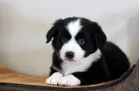 processed/d05ed23b-1a5e-4362-8a3b-8e91a07c8eb1/listing/6a8da66d-323a-4f11-8db8-0b69898c3ff2/a907db1c-80bb-4dfc-9dbb-1a2f95f23981