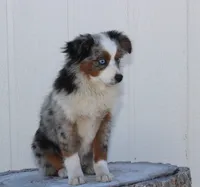 processed/d05ed23b-1a5e-4362-8a3b-8e91a07c8eb1/listing/8118deb0-1f97-4eb6-9030-a709b19f2595/a0fe5741-fd91-4448-85ab-e2f421fbb4fc