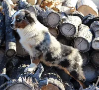 processed/d05ed23b-1a5e-4362-8a3b-8e91a07c8eb1/listing/8118deb0-1f97-4eb6-9030-a709b19f2595/bd739f10-d8ef-4e98-9afb-7a17f5ef092c