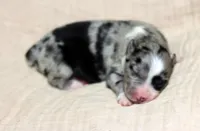 processed/d05ed23b-1a5e-4362-8a3b-8e91a07c8eb1/listing/a148e801-336b-4345-af03-6cb194f03426/0fa72e1b-a199-4186-af71-18402410c8be