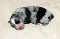 processed/d05ed23b-1a5e-4362-8a3b-8e91a07c8eb1/listing/a148e801-336b-4345-af03-6cb194f03426/5eb5e3b0-7672-44bd-84ec-7dcf8c96d0f9