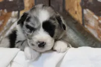 processed/d05ed23b-1a5e-4362-8a3b-8e91a07c8eb1/listing/a148e801-336b-4345-af03-6cb194f03426/6fe015f3-f63c-484b-bea0-db547d3e9c2c