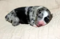 processed/d05ed23b-1a5e-4362-8a3b-8e91a07c8eb1/listing/a148e801-336b-4345-af03-6cb194f03426/7b228736-e9e9-44dc-97d8-5098af671005