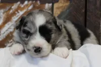 processed/d05ed23b-1a5e-4362-8a3b-8e91a07c8eb1/listing/a148e801-336b-4345-af03-6cb194f03426/9013ec32-d93c-49cf-8962-254d68aa9197