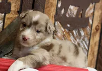 processed/d05ed23b-1a5e-4362-8a3b-8e91a07c8eb1/listing/a2817fb9-1f64-4fe8-b3d0-dc1337778916/4fec02a2-4296-4502-b977-fa66663e4202