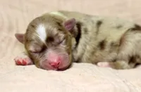 processed/d05ed23b-1a5e-4362-8a3b-8e91a07c8eb1/listing/a2817fb9-1f64-4fe8-b3d0-dc1337778916/70605274-8d22-40b3-957f-d988c53bc846