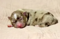 processed/d05ed23b-1a5e-4362-8a3b-8e91a07c8eb1/listing/a2817fb9-1f64-4fe8-b3d0-dc1337778916/8780b66a-1816-41d4-a59d-2f19060363e3