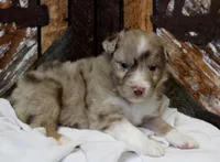 processed/d05ed23b-1a5e-4362-8a3b-8e91a07c8eb1/listing/a2817fb9-1f64-4fe8-b3d0-dc1337778916/e616456a-c7bf-4dbd-b4bb-9a33509da462