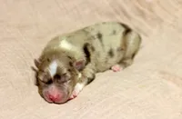 processed/d05ed23b-1a5e-4362-8a3b-8e91a07c8eb1/listing/a2817fb9-1f64-4fe8-b3d0-dc1337778916/f8688ae1-e6cd-422b-bcf0-92d7f915f405