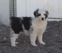 processed/d05ed23b-1a5e-4362-8a3b-8e91a07c8eb1/listing/a3b8c016-181a-40e2-94cb-13a5e2ab3609/247188f8-4ff1-47c5-b27c-3313e1971eb6