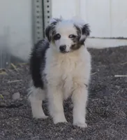 processed/d05ed23b-1a5e-4362-8a3b-8e91a07c8eb1/listing/a3b8c016-181a-40e2-94cb-13a5e2ab3609/27a0378a-7d91-4a30-8ad2-0486d8c02cf5