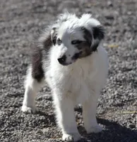 processed/d05ed23b-1a5e-4362-8a3b-8e91a07c8eb1/listing/a3b8c016-181a-40e2-94cb-13a5e2ab3609/35e50c51-4d48-42e5-9ec9-8cc9785eaf19