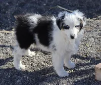 processed/d05ed23b-1a5e-4362-8a3b-8e91a07c8eb1/listing/a3b8c016-181a-40e2-94cb-13a5e2ab3609/782d9bff-5650-4b24-9d18-4dbf9e239e79