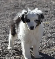 processed/d05ed23b-1a5e-4362-8a3b-8e91a07c8eb1/listing/a3b8c016-181a-40e2-94cb-13a5e2ab3609/d75590df-5c6c-4b02-8aa4-5119e1c7610a