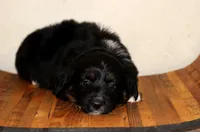 processed/d05ed23b-1a5e-4362-8a3b-8e91a07c8eb1/listing/d64be356-7b2f-499d-994e-1adb98598a7b/31d73db3-035b-4ccf-827b-71577d54bfe7