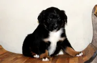 processed/d05ed23b-1a5e-4362-8a3b-8e91a07c8eb1/listing/d64be356-7b2f-499d-994e-1adb98598a7b/36c13e87-aa18-4970-bdfe-42b7455f740c