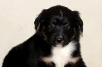 processed/d05ed23b-1a5e-4362-8a3b-8e91a07c8eb1/listing/d64be356-7b2f-499d-994e-1adb98598a7b/7a69e167-48dc-4467-bdc5-f4b4bf1b13a8