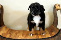 processed/d05ed23b-1a5e-4362-8a3b-8e91a07c8eb1/listing/d64be356-7b2f-499d-994e-1adb98598a7b/dab2d3e7-58b3-46bf-af1b-2f79d348436f