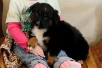 processed/d05ed23b-1a5e-4362-8a3b-8e91a07c8eb1/listing/d64be356-7b2f-499d-994e-1adb98598a7b/e6ee7307-1a50-4d07-943e-24c3f4788df3