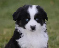 processed/d05ed23b-1a5e-4362-8a3b-8e91a07c8eb1/listing/dd268c5d-760c-47ba-83f8-325e465d2a54/32ebc969-32bf-4de2-ad02-7f37aea0b3df