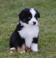 processed/d05ed23b-1a5e-4362-8a3b-8e91a07c8eb1/listing/dd268c5d-760c-47ba-83f8-325e465d2a54/6bd03024-9a9f-4626-aafb-129c5e6b44d0