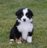 processed/d05ed23b-1a5e-4362-8a3b-8e91a07c8eb1/listing/dd268c5d-760c-47ba-83f8-325e465d2a54/c2dd3697-990c-4875-b52e-84d3eab6eead