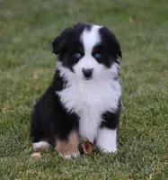 processed/d05ed23b-1a5e-4362-8a3b-8e91a07c8eb1/listing/dd268c5d-760c-47ba-83f8-325e465d2a54/dd53a5b0-1903-4230-8ffb-a7a462510883