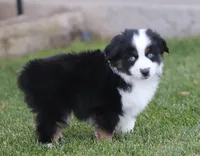 processed/d05ed23b-1a5e-4362-8a3b-8e91a07c8eb1/listing/dd268c5d-760c-47ba-83f8-325e465d2a54/ef7d9a39-9c18-4dcf-a7bb-299725479a70