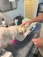 processed/d0627346-82d2-4a4e-a81c-9a250740d6d8/facility/2b1fab14-50d5-49c2-a801-76d52e927b23