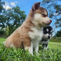 processed/d0630af3-db16-43c8-9ba3-67a1d8c7a911/facility/5baf41dd-d563-47fe-a1ae-bf57413eb84d