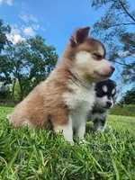 processed/d0630af3-db16-43c8-9ba3-67a1d8c7a911/facility/5baf41dd-d563-47fe-a1ae-bf57413eb84d