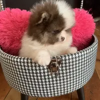 processed/d069ebfb-854f-4f77-b8fc-ee403d58954f/facility/0f022c44-e670-4a03-a986-fb4493317080