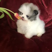 processed/d069ebfb-854f-4f77-b8fc-ee403d58954f/facility/43dd635a-cbb6-4f38-a893-cab0585e0153