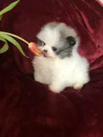 processed/d069ebfb-854f-4f77-b8fc-ee403d58954f/facility/43dd635a-cbb6-4f38-a893-cab0585e0153