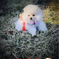 processed/d069ebfb-854f-4f77-b8fc-ee403d58954f/facility/7e8dfbe0-1aff-4a04-a7a7-c464e637353e