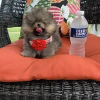 processed/d069ebfb-854f-4f77-b8fc-ee403d58954f/facility/b503ef39-d0ac-400d-9ae3-2828298ea5f3