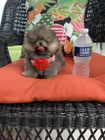 processed/d069ebfb-854f-4f77-b8fc-ee403d58954f/facility/b503ef39-d0ac-400d-9ae3-2828298ea5f3