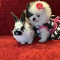 processed/d069ebfb-854f-4f77-b8fc-ee403d58954f/facility/b7b129e5-7235-41dc-86f6-2a4da6f5c4f2